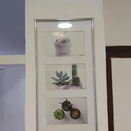 Διαμέρισμα Fully Furnished Flat Μόσταρ